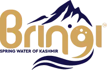 Bringi-Logo shakir baba developer